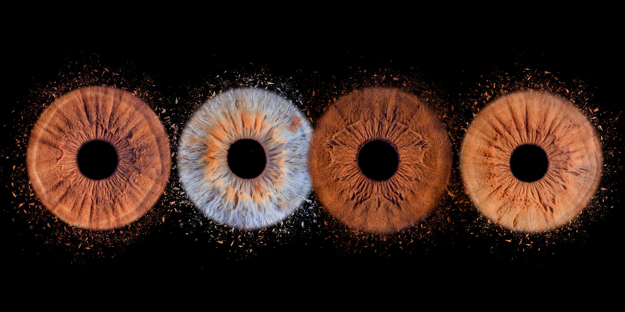 Photographe Raluca Stroiu iris photographie Chateaubourg près de rennes